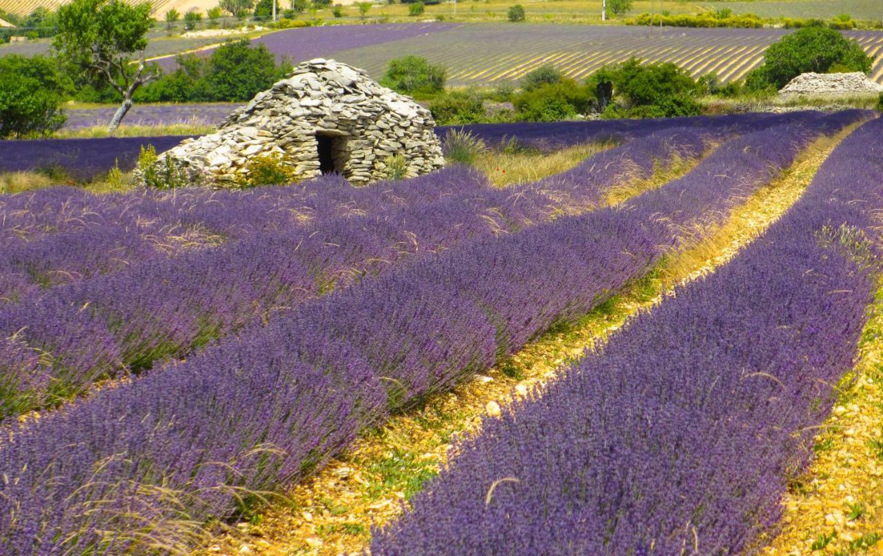 Chateau Des Gipieres Bij De Mont Ventoux Монбрен-ле-Бен Экстерьер фото